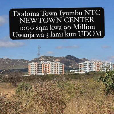 Plot for sale in Iyumbu New Town, Dodoma sqm 1000
