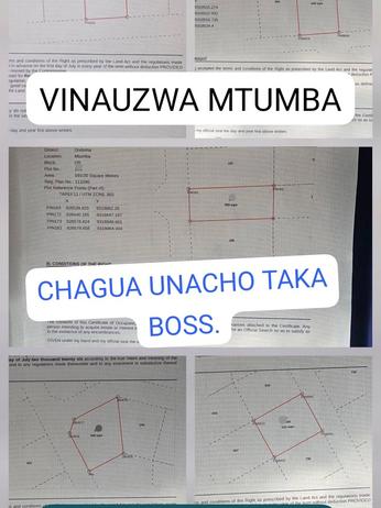 Residential Plot for Sale in Mtumba/Mji Wa Kiserikali, Dodoma (516 sqm) Residential Plot for Sale in Mtumba/Mji Wa Kiserikali, Dodoma (516 sqm)