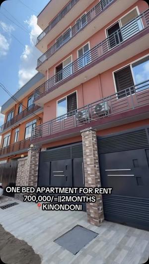 1 Bedroom Apartment for Rent in Kinondoni, Dar Es Salaam 1 Bedroom Apartment for Rent in Kinondoni, Dar Es Salaam