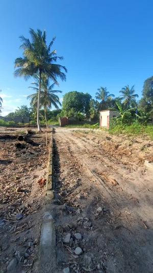 Kiwanja kinauzwa Chanika Zingiziwa, Dar Es Salaam