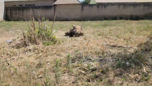 Residential Plot for Sale in Mbeya Ituba (980 sqm)
