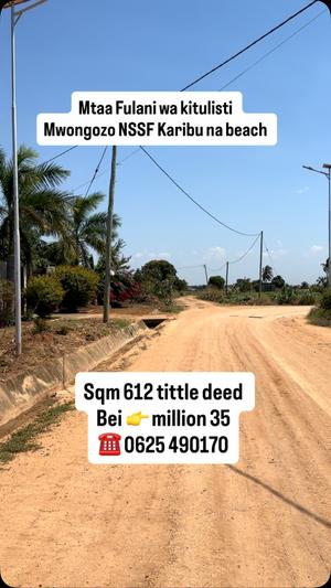 Plot for sale in Kigamboni Mwongozo, Dar Es Salaam sqm 612