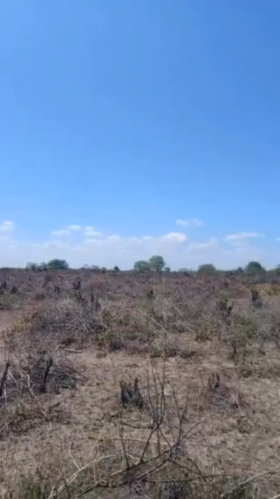 Farm for sale in Heka, Singida