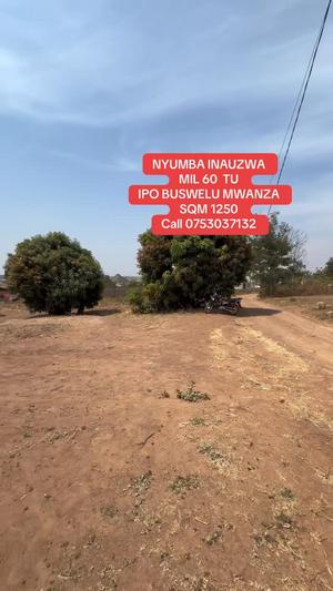 3 Bedrooms House for Sale in Mwanza 3 Bedrooms House for Sale in Mwanza