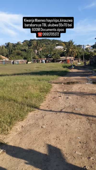 Kiwanja kinauzwa Bwiru, Mwanza (3850 sqm)