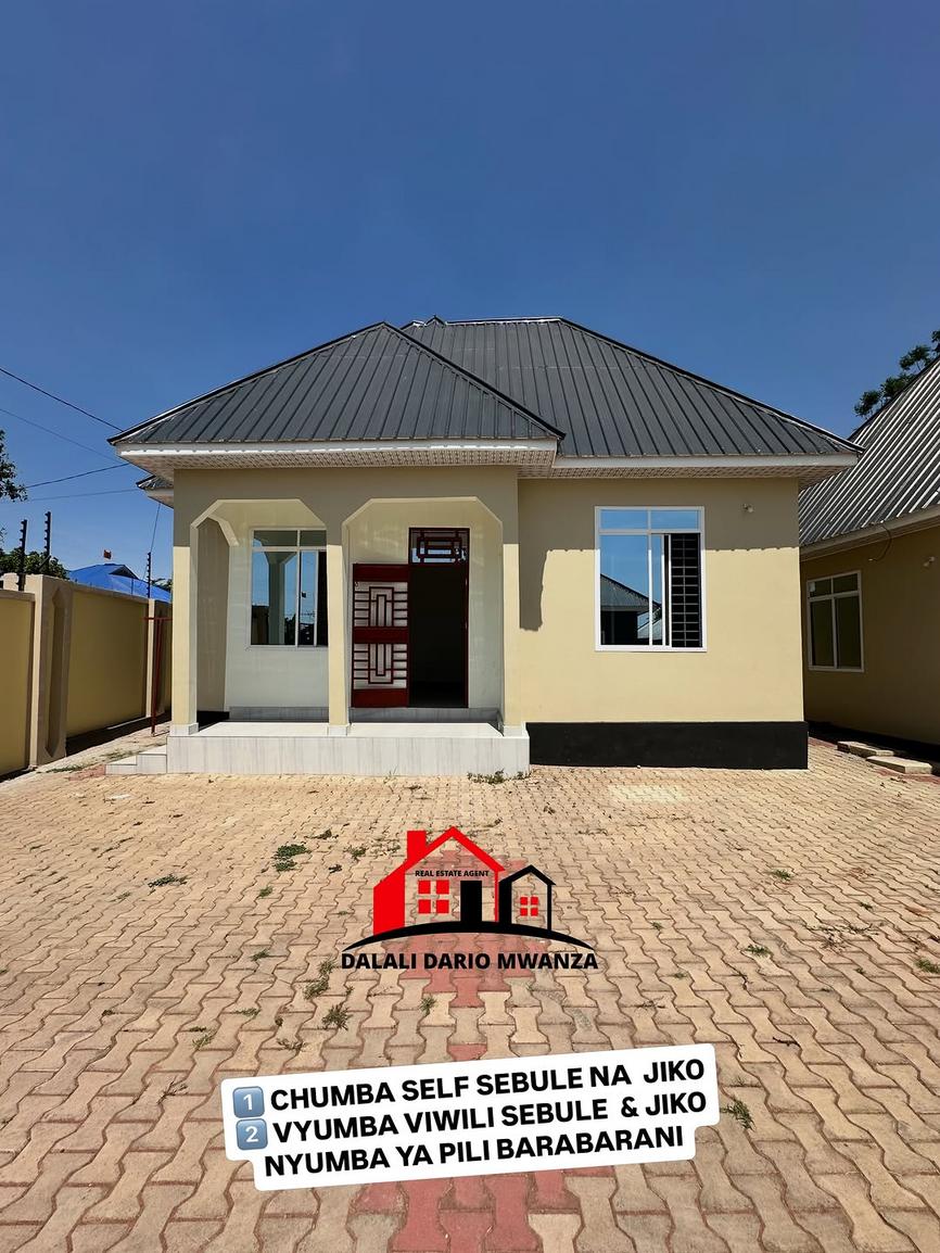  media -1