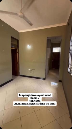 2 Bedrooms Apartment for Rent in Salasala, Dar Es Salaam