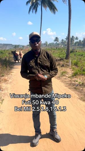 Viwanja vinauzwa Mbande Mipeko, Dar Es Salaam (400 sqm)