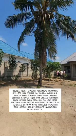 3 Bedrooms House for Sale in Mikwambe, Dar Es Salaam (800 sqm) 3 Bedrooms House for Sale in Mikwambe, Dar Es Salaam (800 sqm)