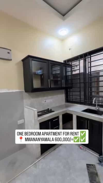 Apartment ya chumba kimoja inapangishwa Mwananyamala, Dar Es Salaam