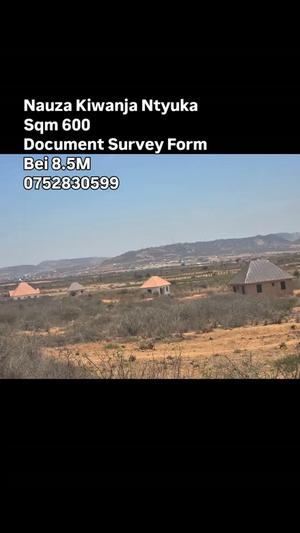 Kiwanja kinauzwa Ntyuka, Dodoma (600 sqm)