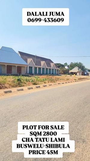 Kiwanja kinauzwa Buswelu Shibula, Mwanza (15160 sqm) Kiwanja kinauzwa Buswelu Shibula, Mwanza (15160 sqm)