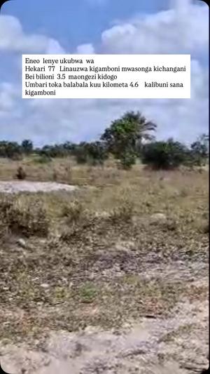 Kiwanja (Residential/Commercial) kinauzwa Kigamboni Mwasonga Kichangani, Dar Es Salaam (77 acre)