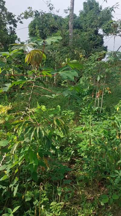 Kiwanja kinauzwa Goba Njia Nne, Dar Es Salaam (430 sqm)