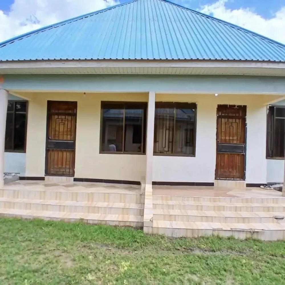media -2