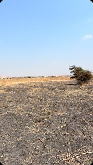 Kiwanja kinauzwa Nzuguni B, Dodoma (365 sqm) Kiwanja kinauzwa Nzuguni B, Dodoma (365 sqm)
