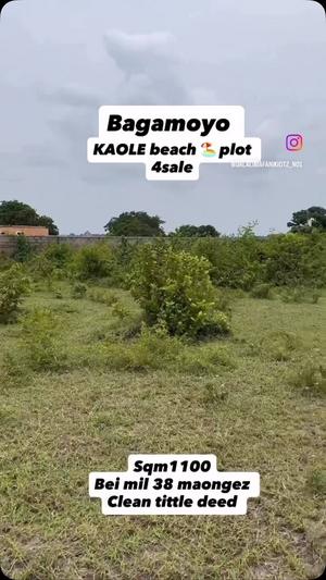 Kiwanja kinauzwa Bagamoyo Ukuni, Pwani (1100 sqm) Kiwanja kinauzwa Bagamoyo Ukuni, Pwani (1100 sqm)