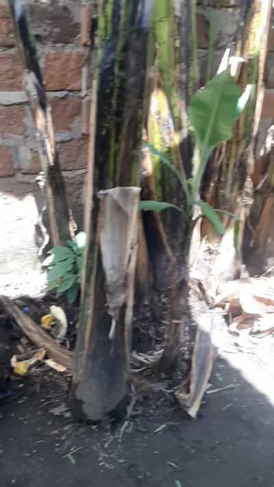 3 Bedrooms House for Sale in Ngaramtoni, Arusha (560 sqm)