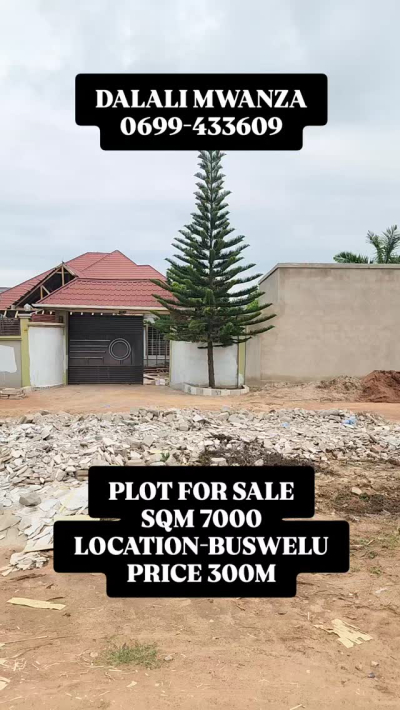 Plot for sale in Buswelu, Mwanza Plot for sale in Buswelu, Mwanza