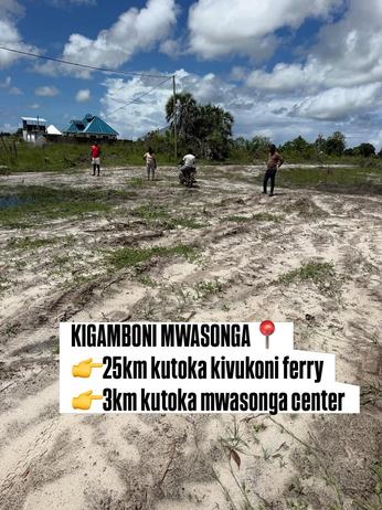 Viwanja vinauzwa Mwasonga, Dar Es Salaam (400 sqm) Viwanja vinauzwa Mwasonga, Dar Es Salaam (400 sqm)
