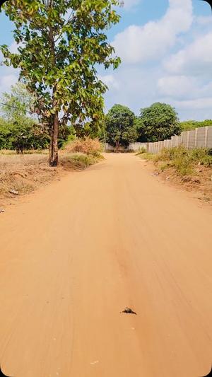 Viwanja vinauzwa Mapinga Kwa Kibosha, Pwani sqm 1509 Viwanja vinauzwa Mapinga Kwa Kibosha, Pwani sqm 1509
