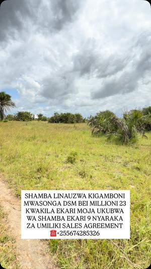 Farm for Sale in Mwasonga, Dar Es Salaam (9 acre)
