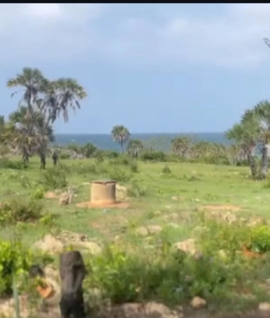 media -2 media -2
