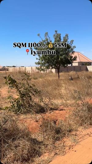 Plot for sale in Iyumbu, Dodoma sqm 1100