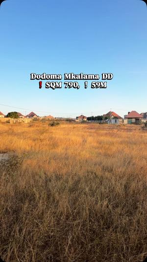Kiwanja kinauzwa Makulu Mkalama, Dodoma sqm 790 Kiwanja kinauzwa Makulu Mkalama, Dodoma sqm 790