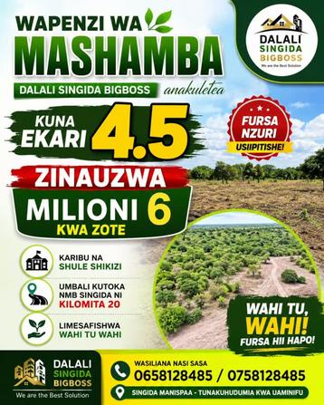 Farm for Sale in Uhamaka, Singida (4.5 acre) Farm for Sale in Uhamaka, Singida (4.5 acre)