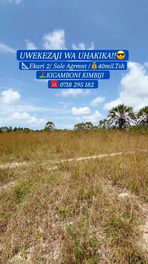 Plot for sale in Kigamboni Kimbiji Kijaka, Dar Es Salaam acre 2 Plot for sale in Kigamboni Kimbiji Kijaka, Dar Es Salaam acre 2