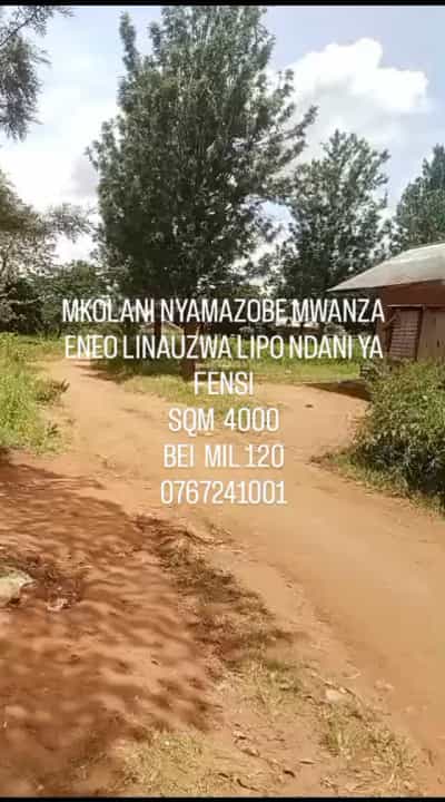 Kiwanja kinauzwa Mkolani Nyamazobe, Mwanza (4000 sqm)