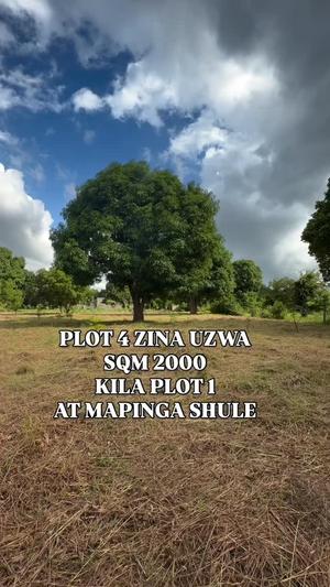 Viwanja vinauzwa Mapinga, Pwani sqm 2000