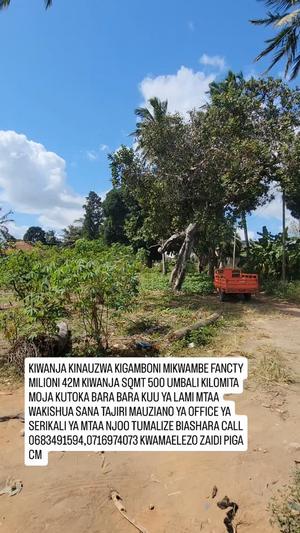 Kiwanja kinauzwa Mikwambe, Dar Es Salaam (500 sqm)