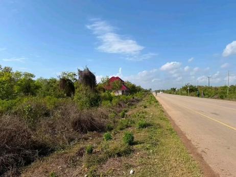 Residential Plot for Sale in Matemwe, Zanzibar (760 sqm)