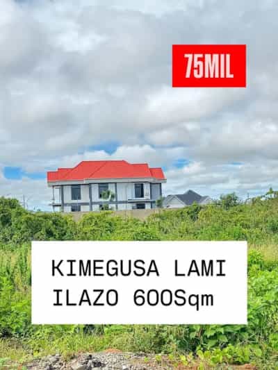 Kiwanja kinauzwa Ilazo ya Zamani, Dodoma (600 sqm) Kiwanja kinauzwa Ilazo ya Zamani, Dodoma (600 sqm)