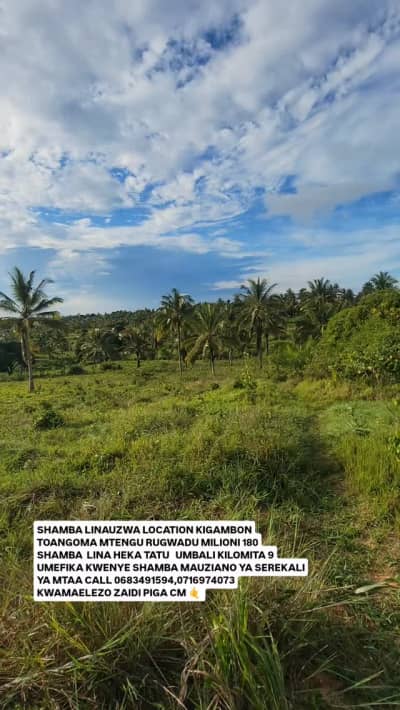 Farm for sale in Toangoma, Dar Es Salaam