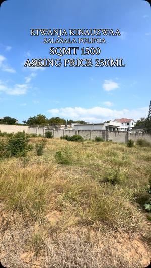 Kiwanja kinauzwa Salasala Polipoa, Dar Es Salaam (1500 sqm) Kiwanja kinauzwa Salasala Polipoa, Dar Es Salaam (1500 sqm)