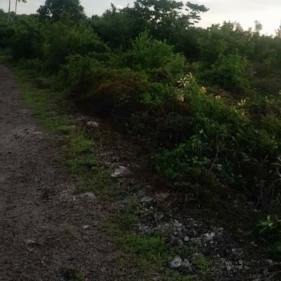Plot for sale in Jambiani, Zanzibar - Unguja South sqm 1856 Plot for sale in Jambiani, Zanzibar - Unguja South sqm 1856