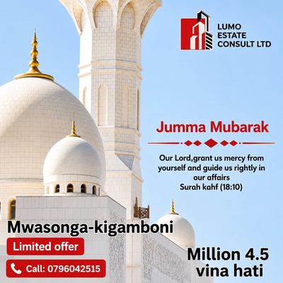 Plots for sale in Mwasonga, Dar Es Salaam sqm 379 Plots for sale in Mwasonga, Dar Es Salaam sqm 379