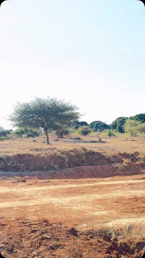 Plot for sale in Medeli, Dodoma sqm 2000 Plot for sale in Medeli, Dodoma sqm 2000