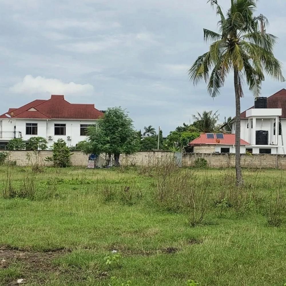 media -2