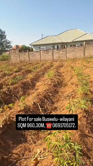 Kiwanja kinauzwa Buswelu Wilayani, Mwanza (960 sqm) Kiwanja kinauzwa Buswelu Wilayani, Mwanza (960 sqm)