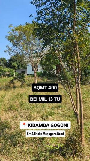 Kiwanja kinauzwa Kibamba Gogoni, Dar Es Salaam (400 sqm)