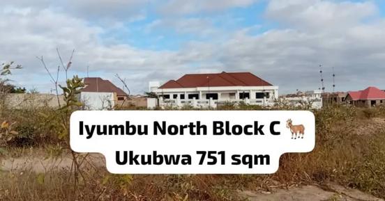 Kiwanja kinauzwa Iyumbu North, Dodoma (751 sqm)