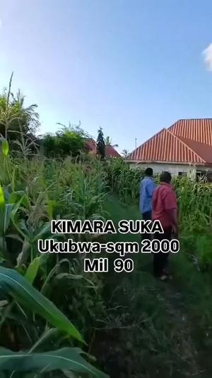Kiwanja kinauzwa Kimara Suka, Dar Es Salaam (2000 sqm)