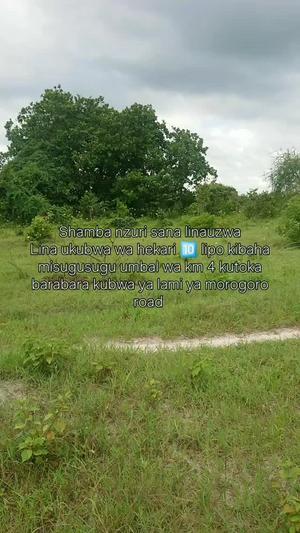 Shamba linauzwa Morogoro (10 acre)