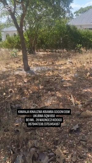 Residential Plot for Sale in Kibamba Gogoni, Dar Es Salaam (650 sqm) Residential Plot for Sale in Kibamba Gogoni, Dar Es Salaam (650 sqm)