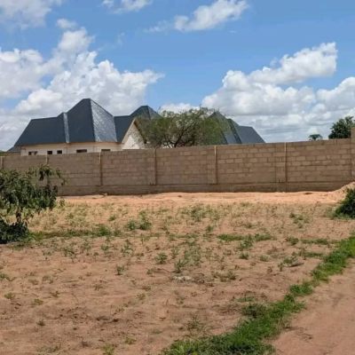 Kiwanja kinauzwa Nala, Dodoma Kiwanja kinauzwa Nala, Dodoma