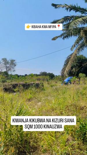 Residential Plot for Sale in Kibaha Kwa Mfipa, Pwani (1000 sqm) Residential Plot for Sale in Kibaha Kwa Mfipa, Pwani (1000 sqm)